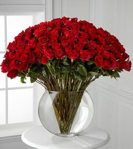100 red roses sale