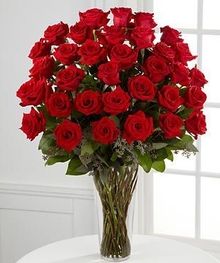 36-red-roses-delivery-to-chicago-florist-delivery