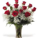 one_dozen_red_roses_with_babies_breath_flowers-