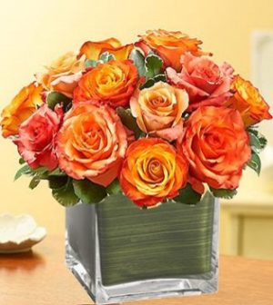 Contemporary Passion Arrangement