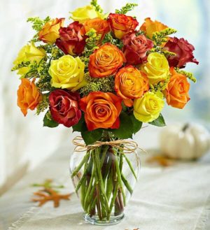 AutumnTwo Dozen Rose Bouquet