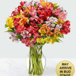 The Spirit of Color Peruvian Lily Bouquet will make the perfect bridge between the two of you as you show them how much you care.