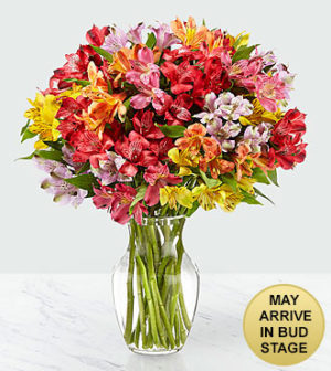 The Spirit of Color Peruvian Lily Bouquet will make the perfect bridge between the two of you as you show them how much you care.